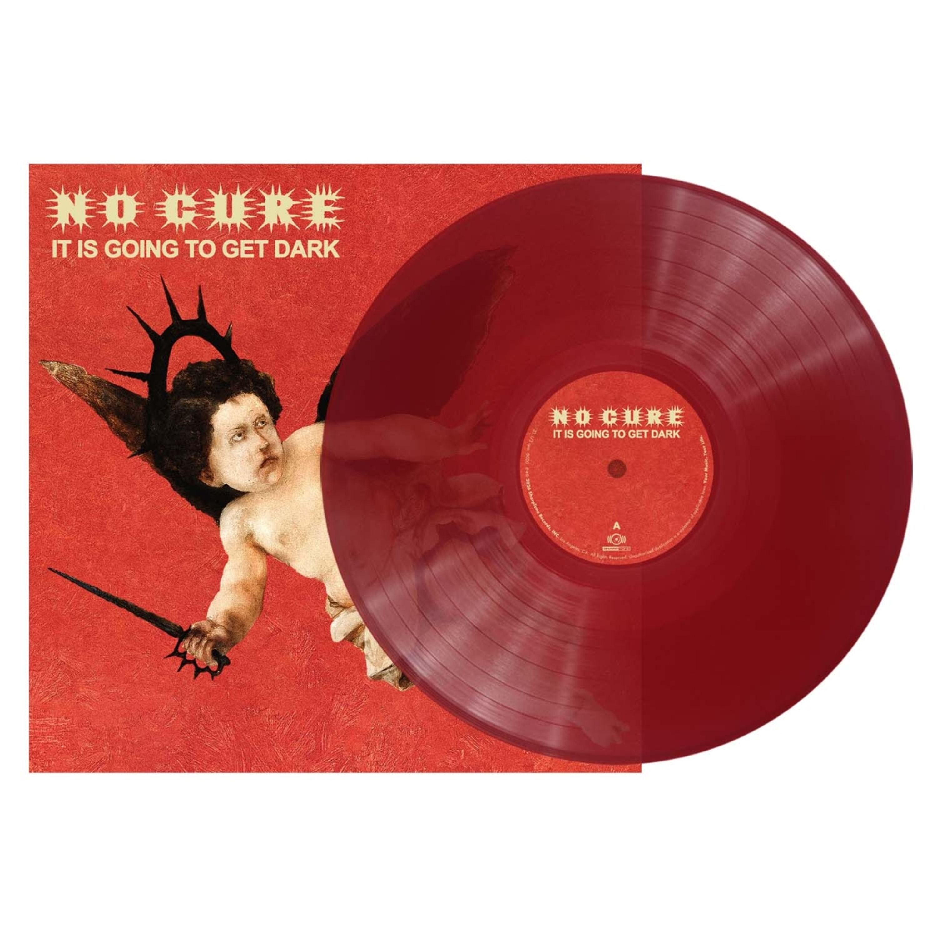 Vinyl - IT IS GOING TO GET DARK