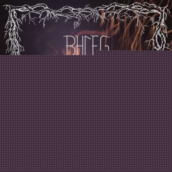 Vinyl Bhleg - ARIL