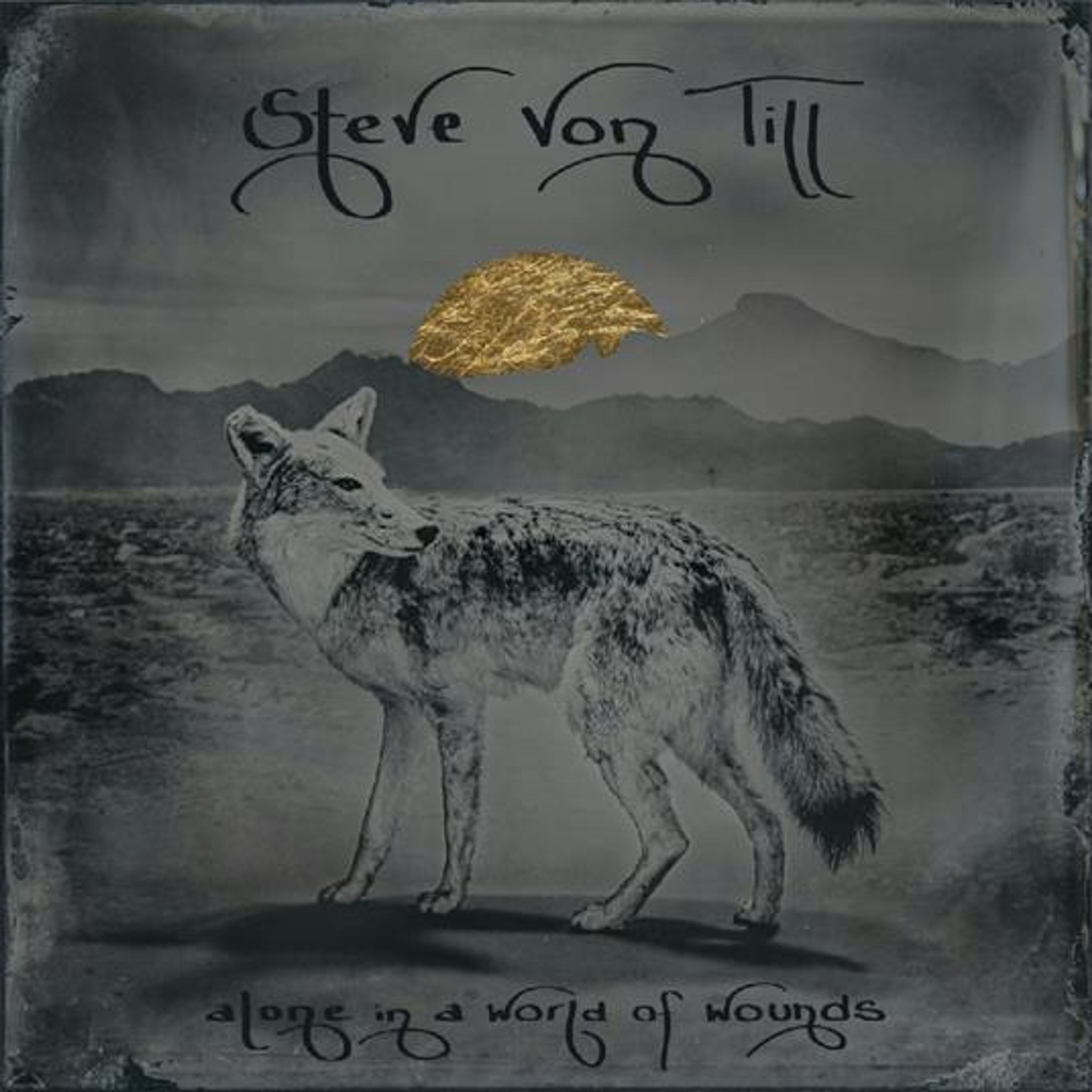 CD Steve Von Till - ALONE IN A WORLD OF WOUNDS