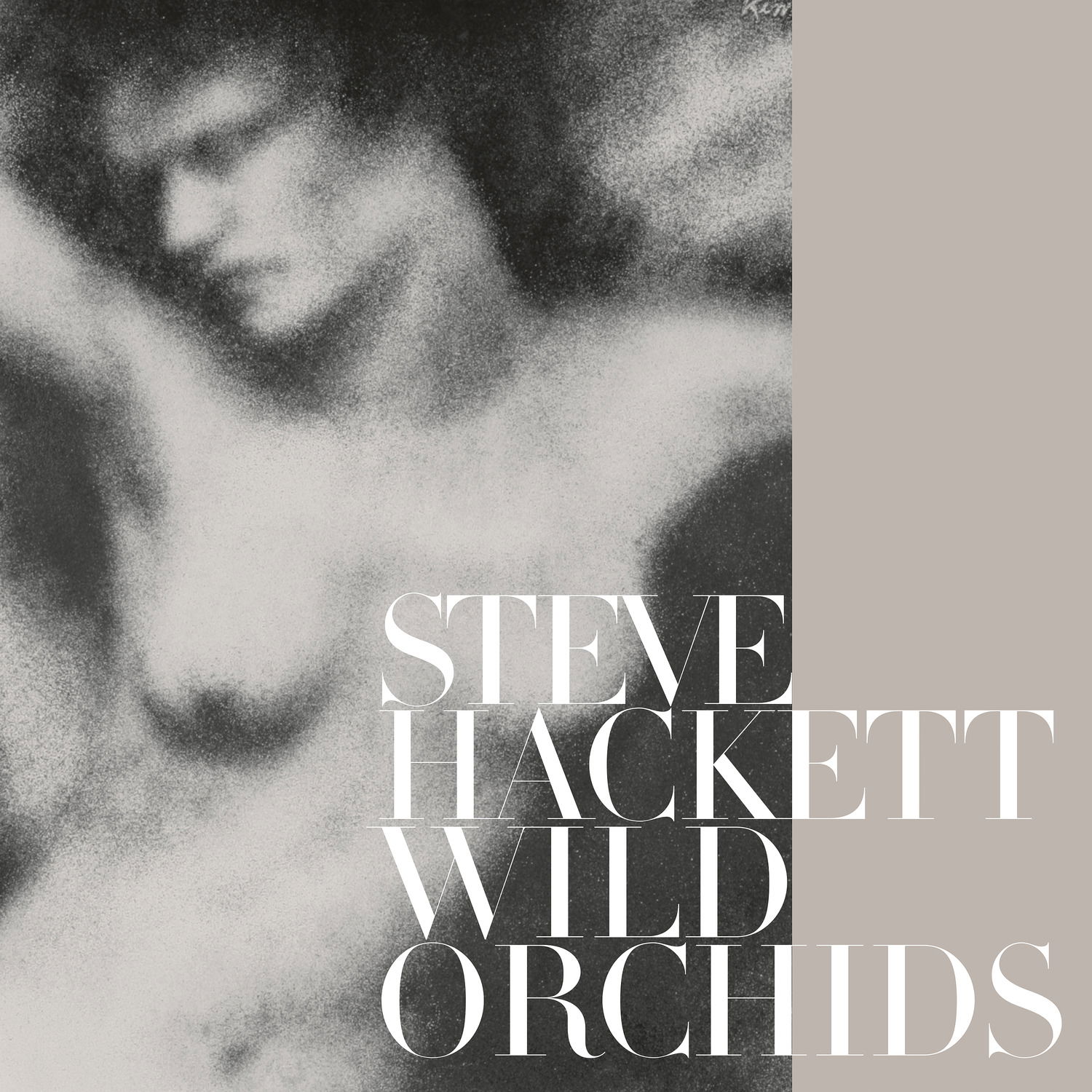 Vinyl Steve Hackett - Wild Orchids (Vinyl Re-Issue 2023)