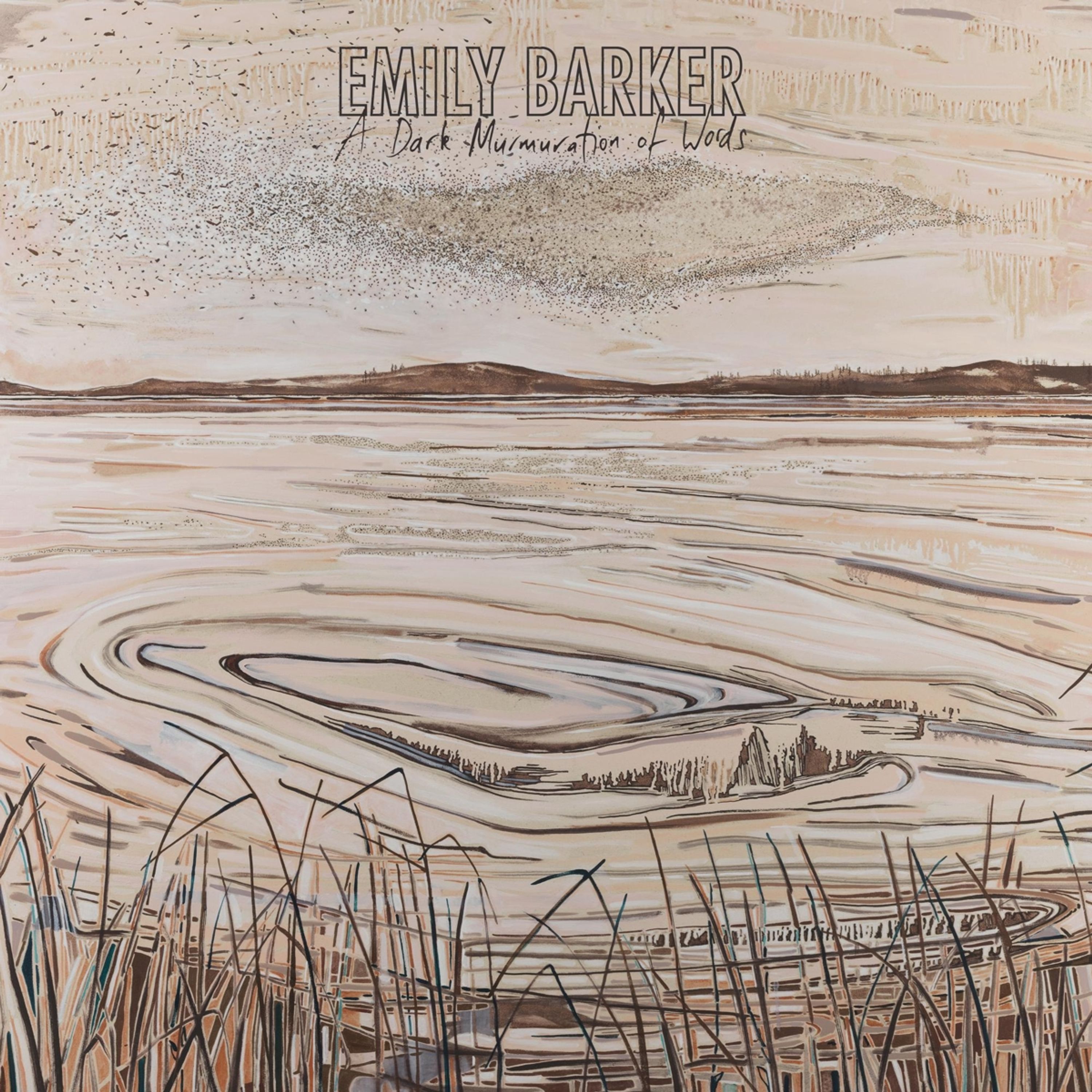 CD Emily Barker - A DARK MURMURATION OF WORDS