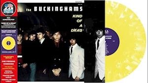 Vinyl The Buckinghams - KIND OF A DRAG