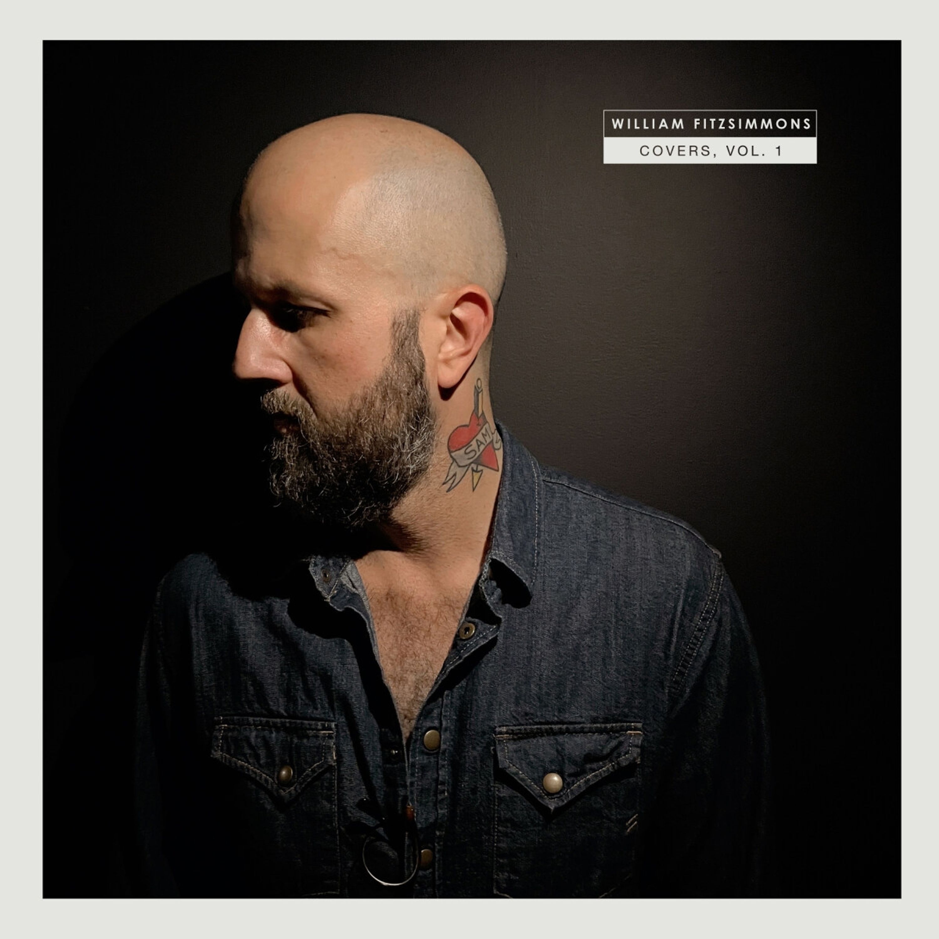 CD William Fitzsimmons - COVERS VOL.1
