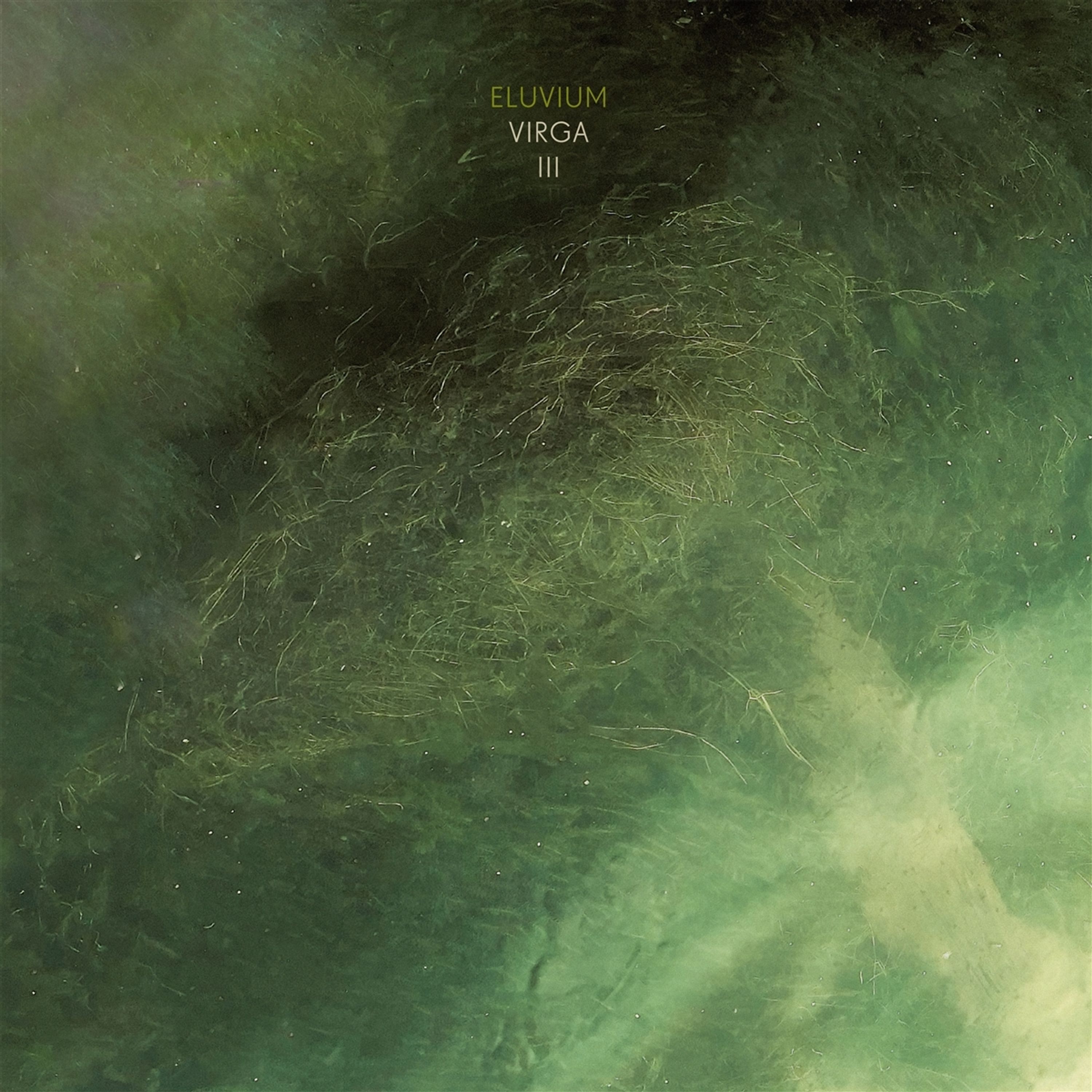 Vinyl - VIRGA III