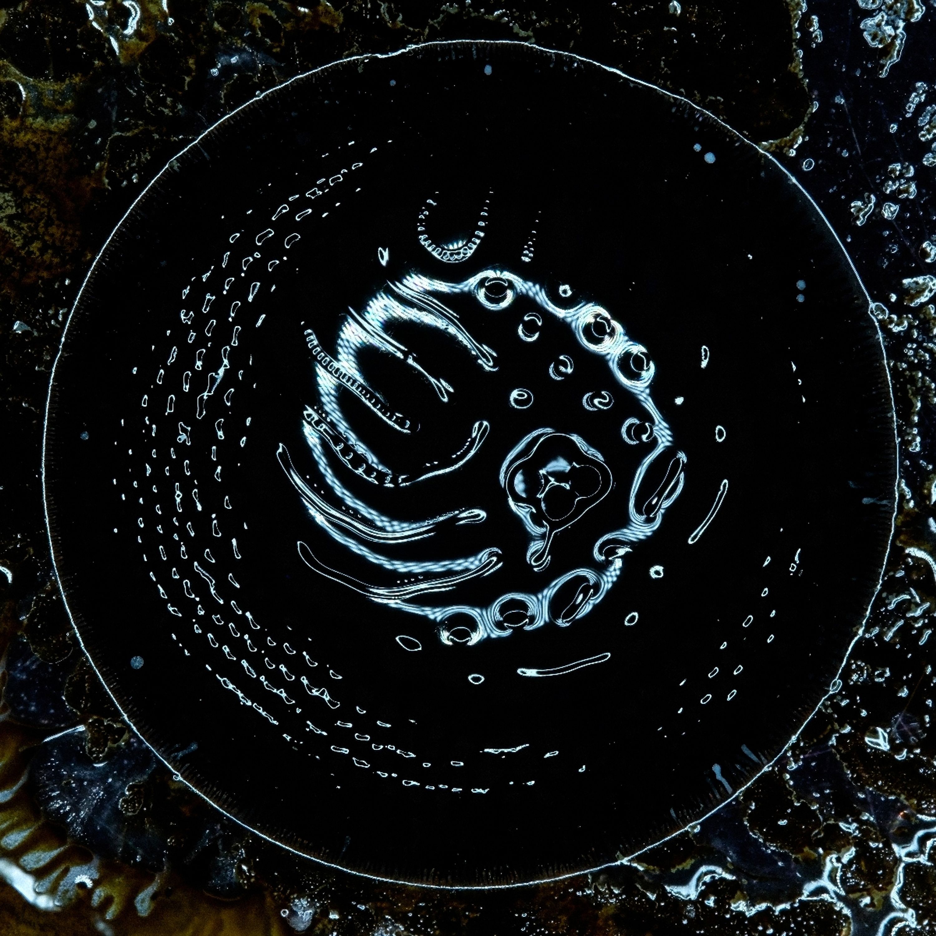 CD Stonus - Stonus