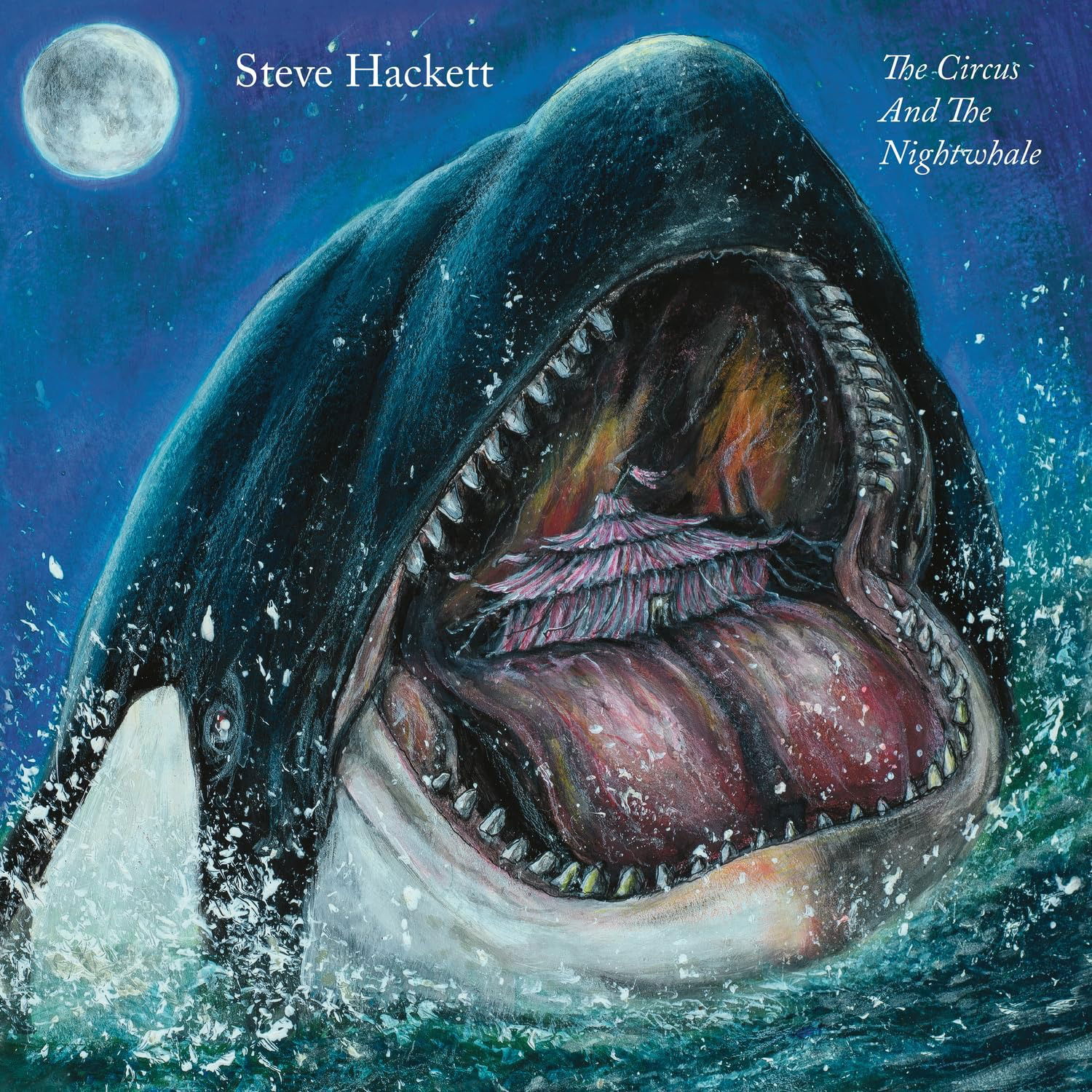 Vinyl Steve Hackett - The Circus and the Nightwhale