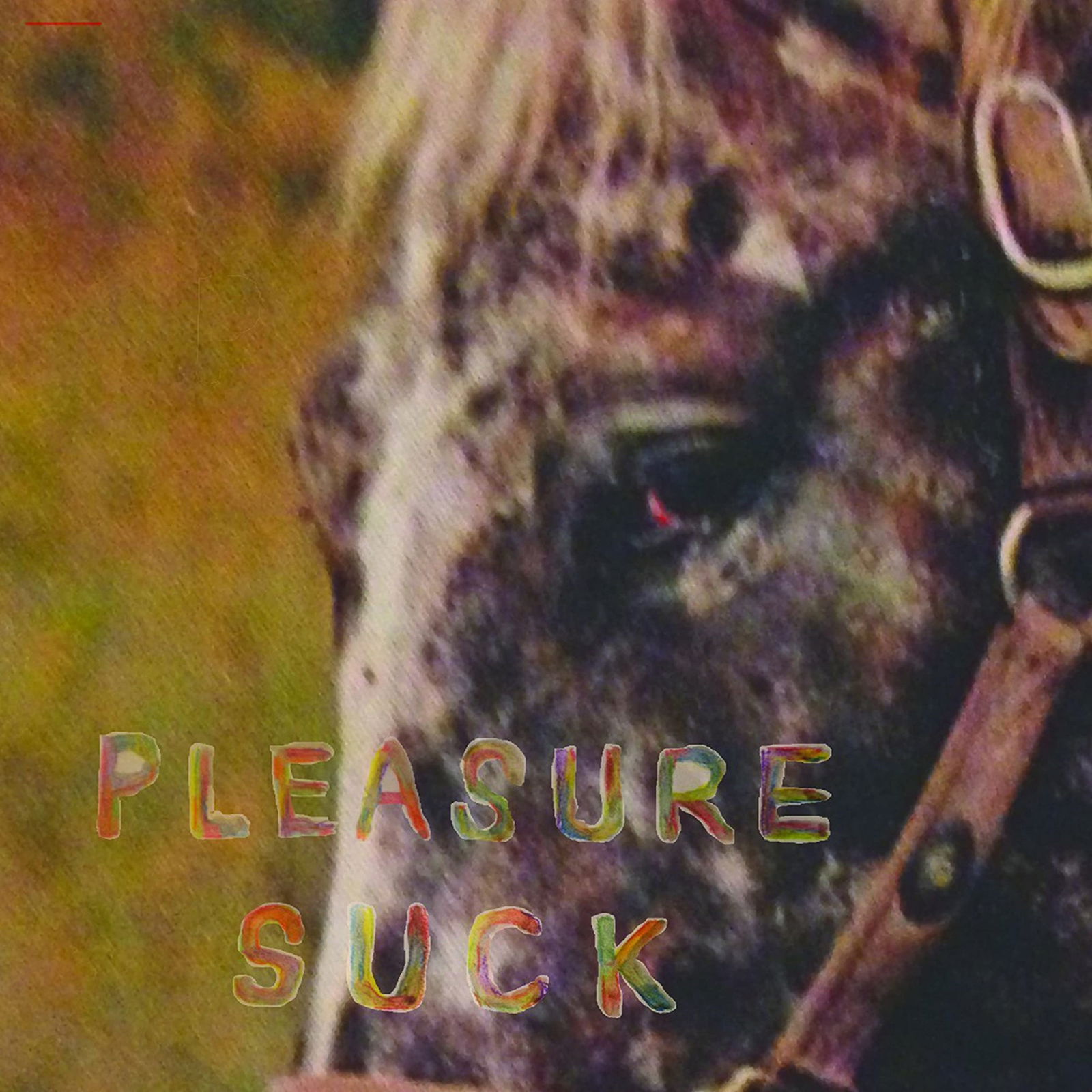Vinyl The Spirit of the Beehive - PLEASURE SUCK