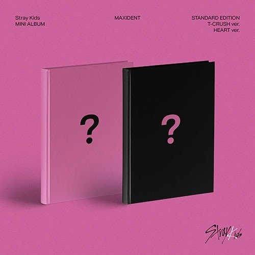 CD Stray Kids - Maxident