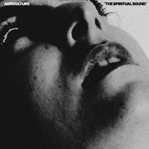 Vinyl Agriculture - The Spiritual Sound