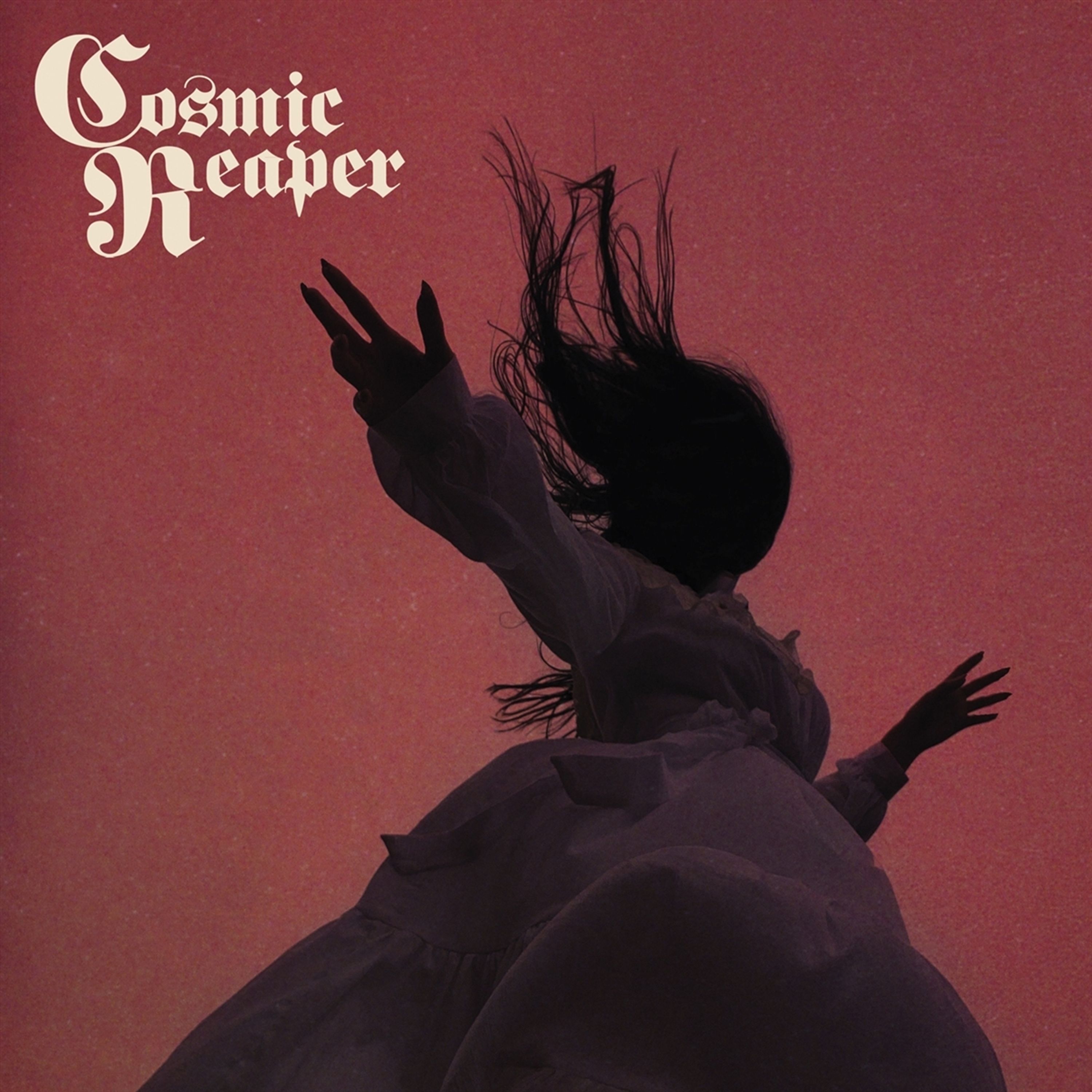 Vinyl Cosmic Reaper - BLEED THE WICKED, DROWN THE DAMNED