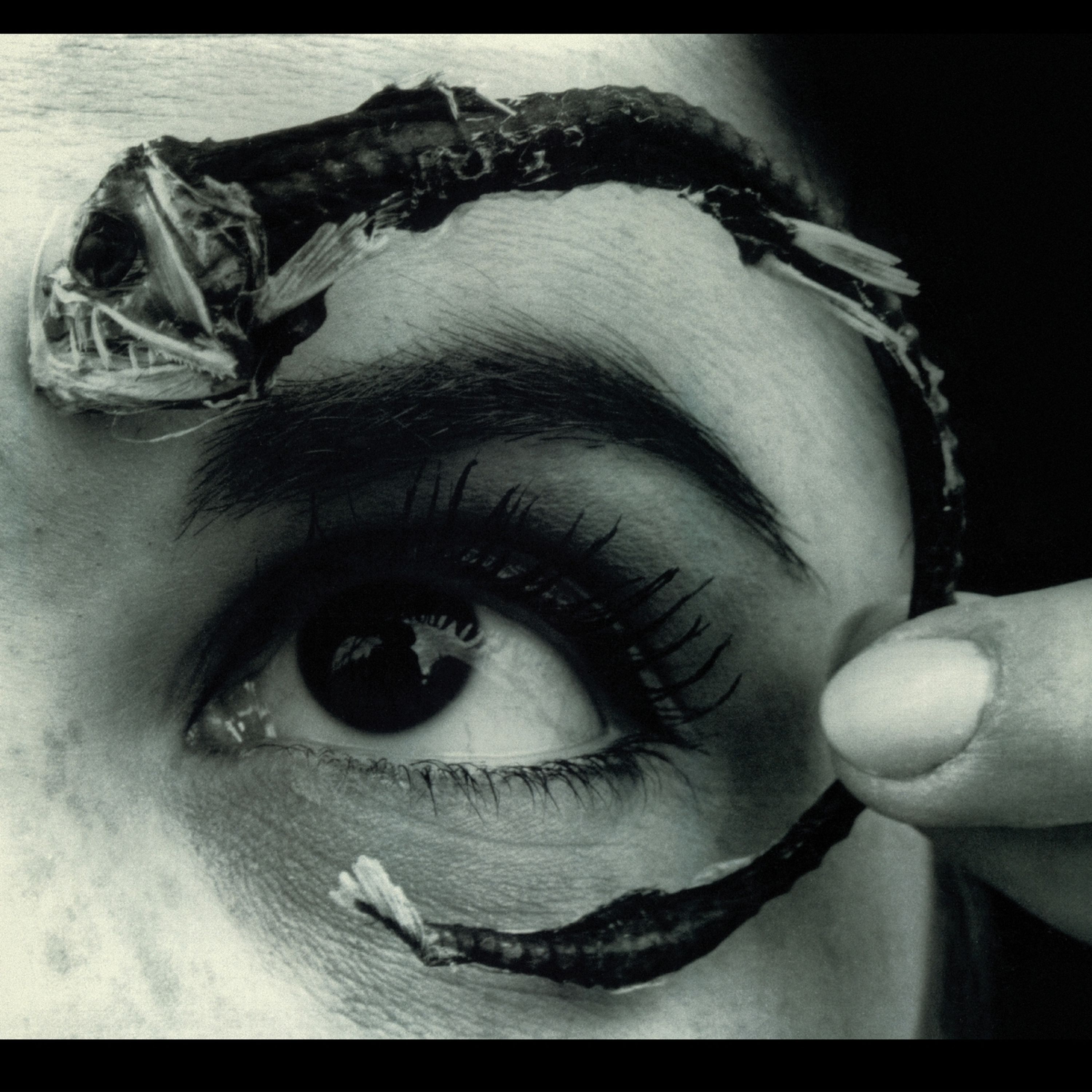 Vinyl Mr. Bungle - DISCO VOLANTE (ROCKTOBER 2025)