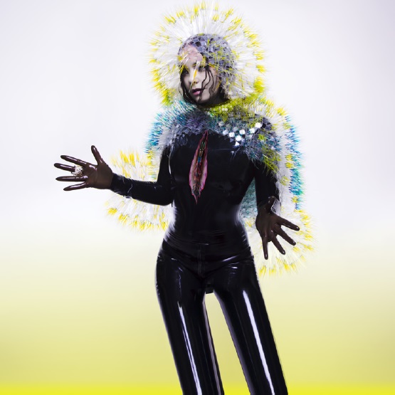 CD Björk - VULNICURA