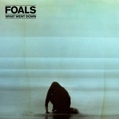 Vinyl Foals - WHAT WENT DOWN