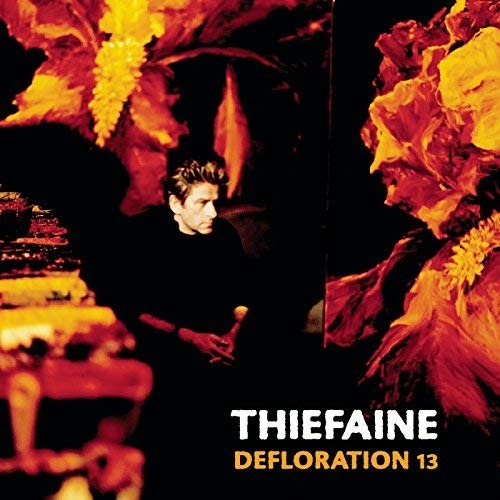 Vinyl Hubert-Félix Thiéfaine - Felix - Défloration 13