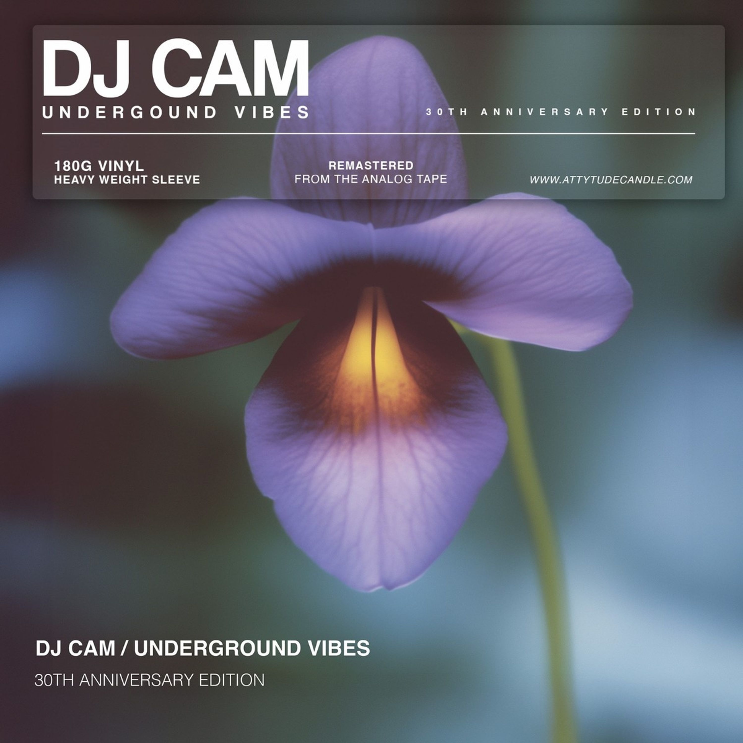 Vinyl DJ Cam - UNDERGROUND VIBES