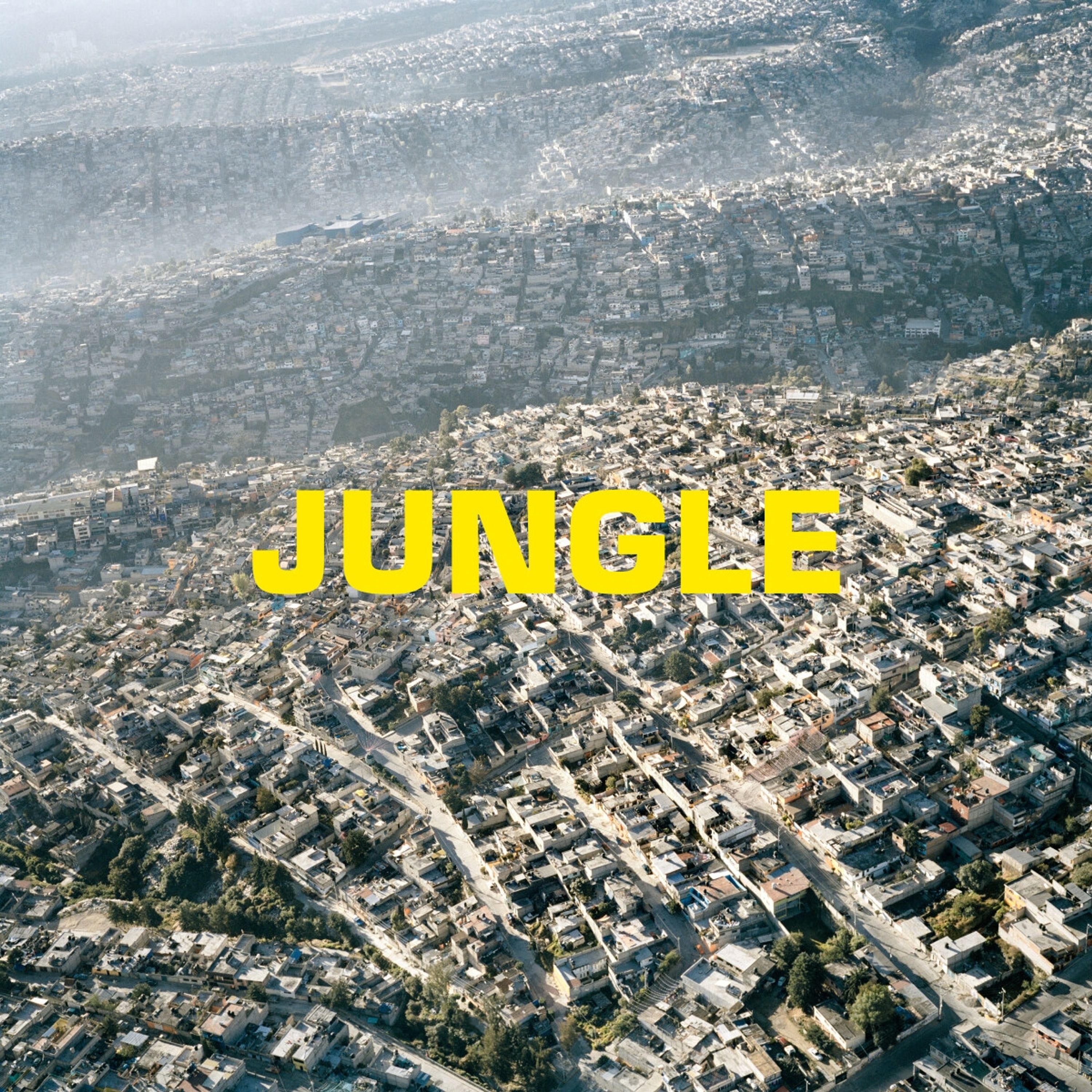 Vinyl Blaze - JUNGLE