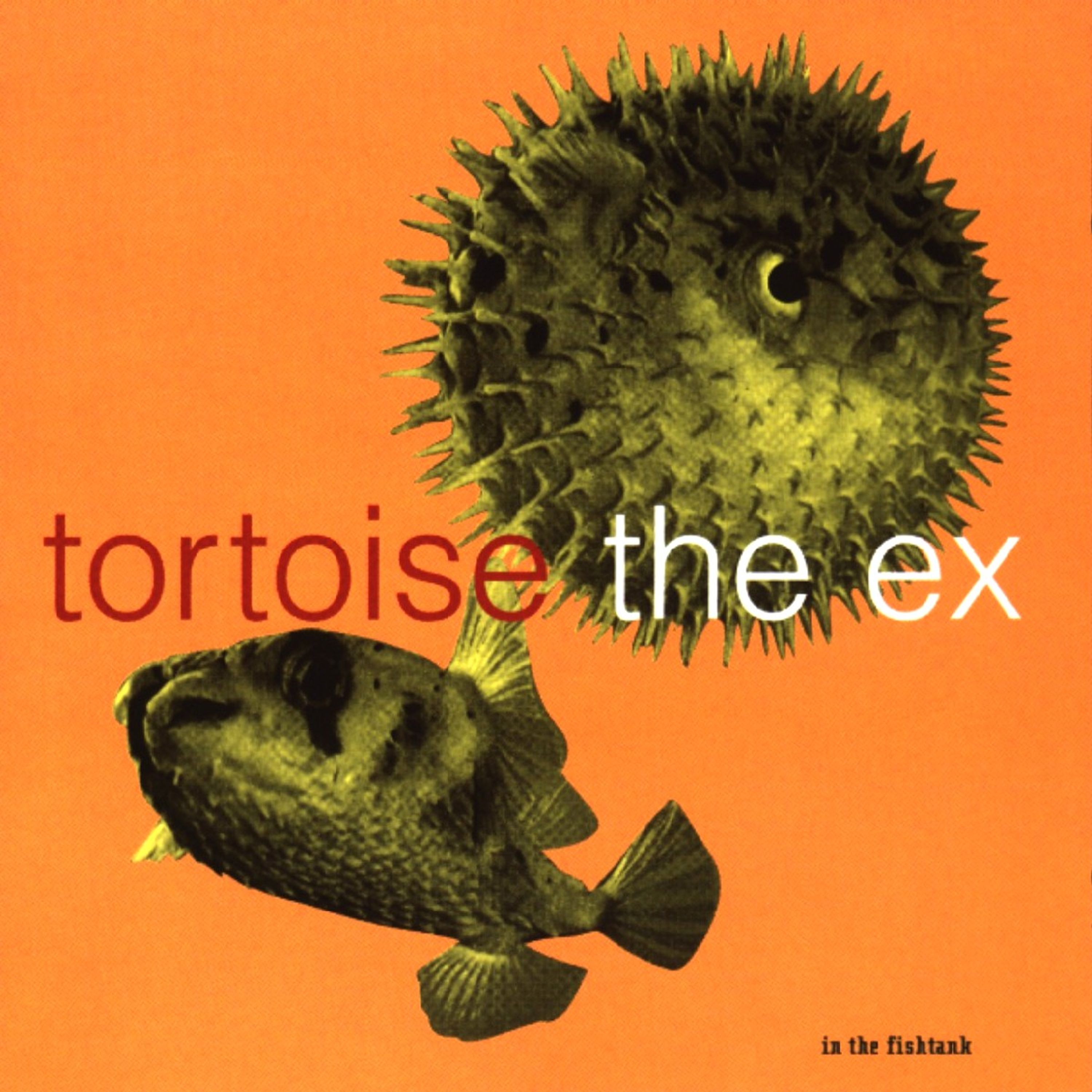 CD - Tortoise + the Ex - In the Fishtank