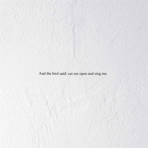 Vinyl Prairie - AND THE BIRD SAID: CUT ME OPEN AND SING ME