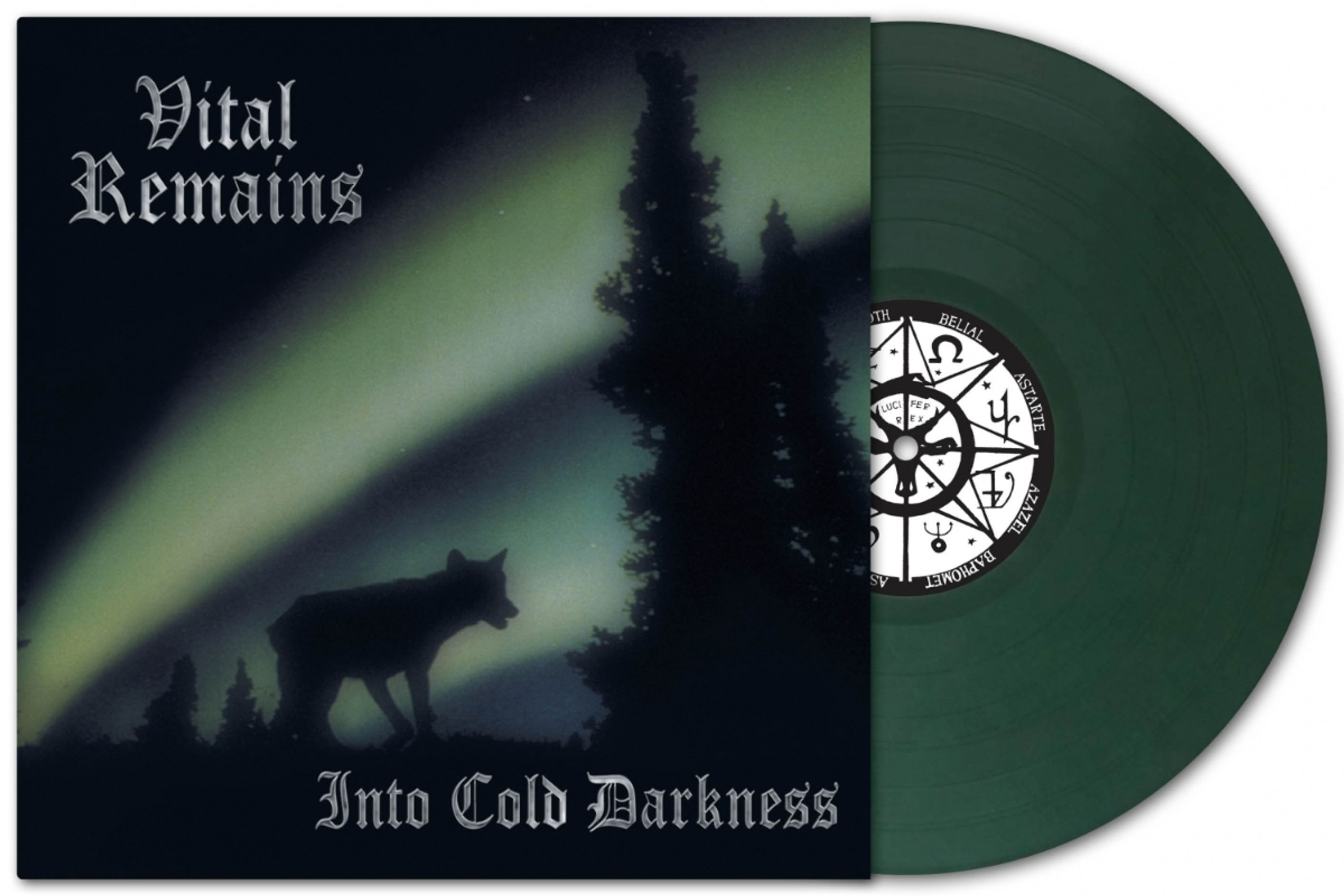 Vinyl Vital Remains - Into Cold Darkness