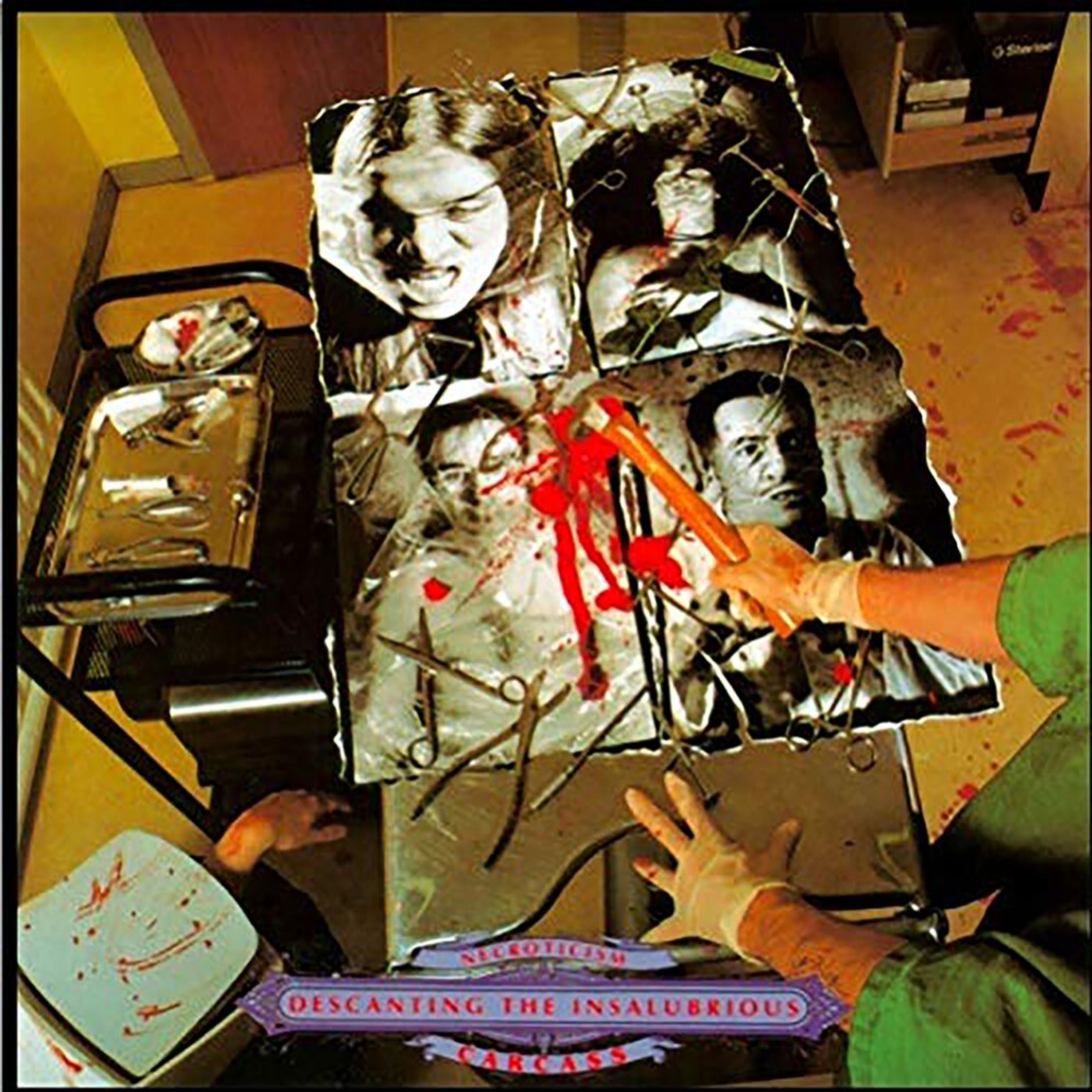 Vinyl Carcass - NECROTICISM - DESCANTI...