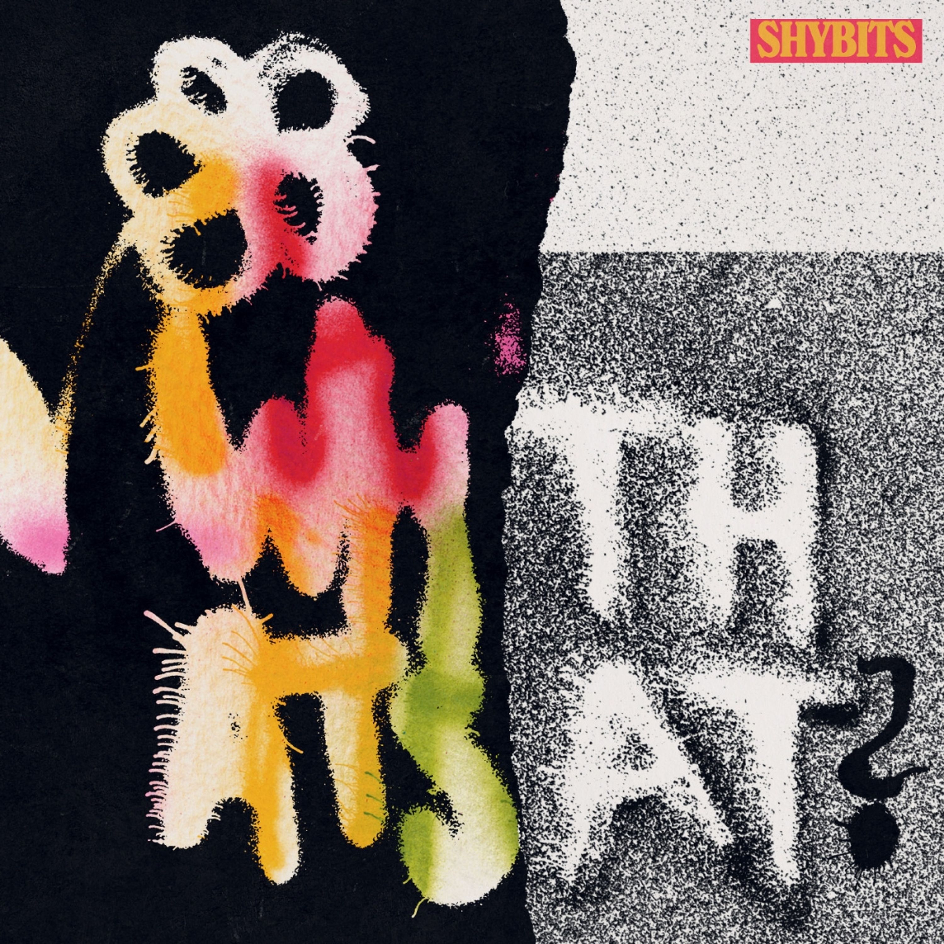 Vinyl Shybits - WHAT'S THAT?