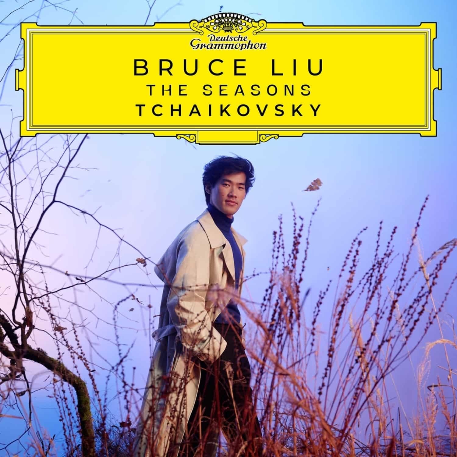 Vinyl Bruce Liu - THE SEASONS