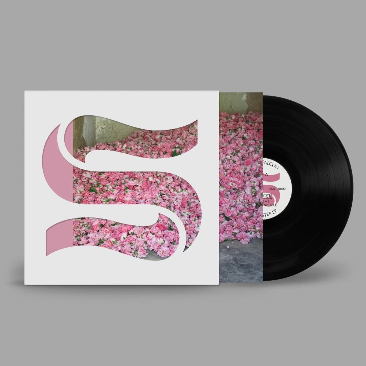 Vinyl Braxe + Falcon - STEP BY STEP