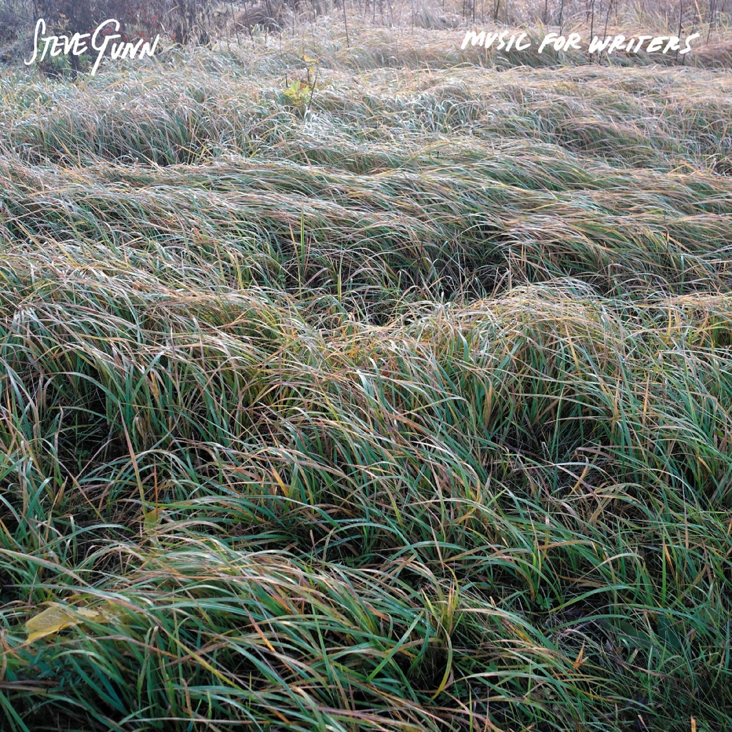 Vinyl Steve Gunn - MUSIC FOR WRITERS
