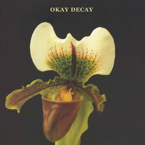 CD Canshaker Pi - OKAY DECAY