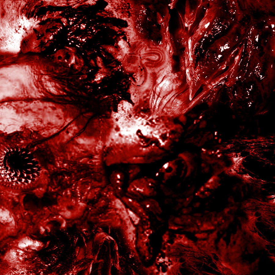 CD Excrescence - INESCAPABLE ANATMICAL DETERIORATION