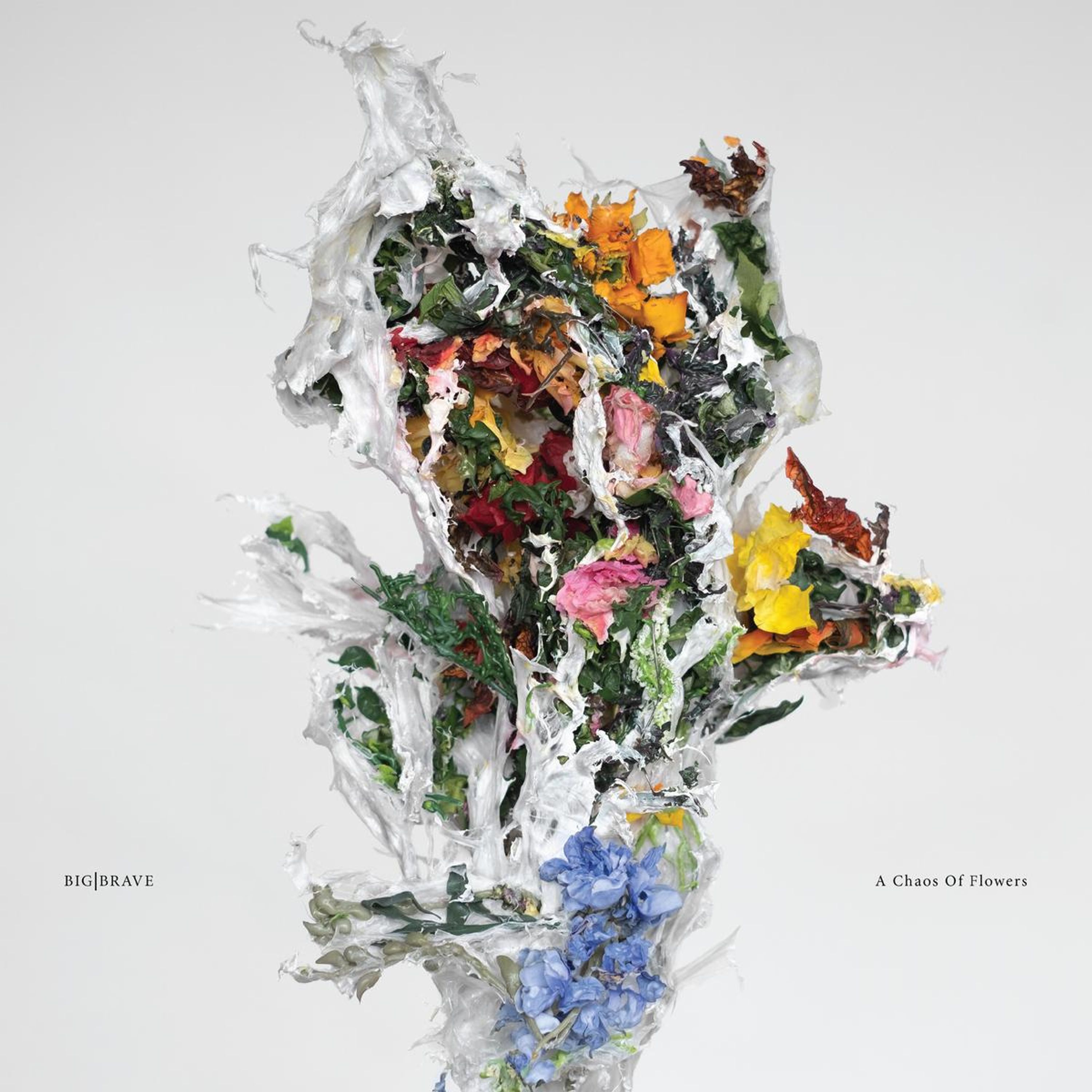 Vinyl - BIG BRAVE - A CHAOS OF FLOWERS