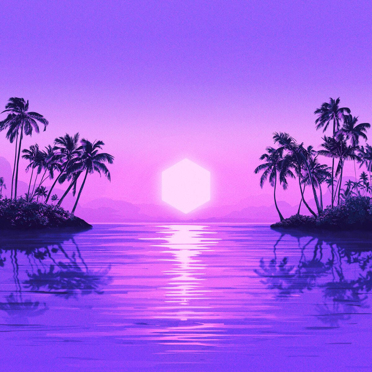 Vinyl Purple Disco Machine - Paradise