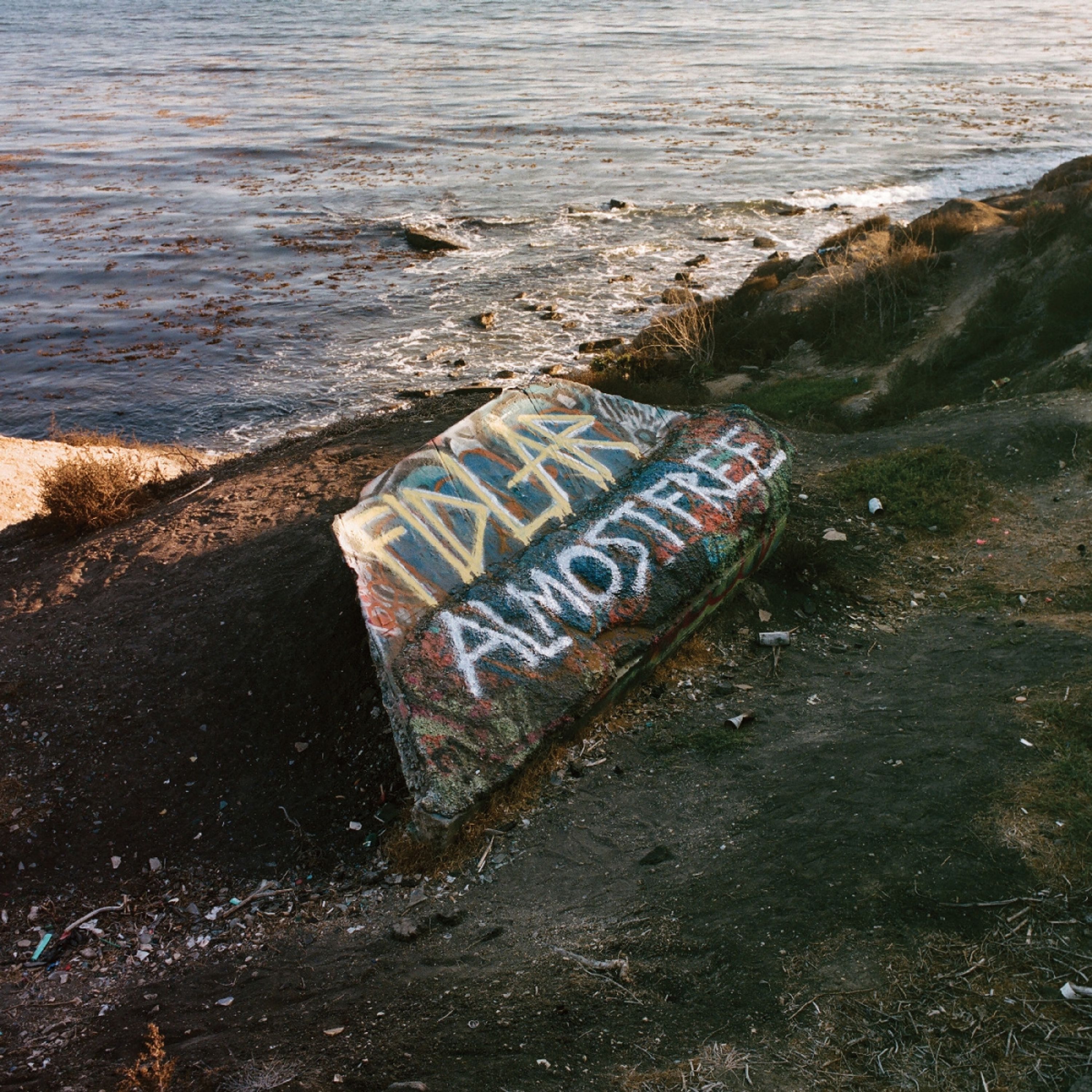 Vinyl FIDLAR - ALMOST FREE
