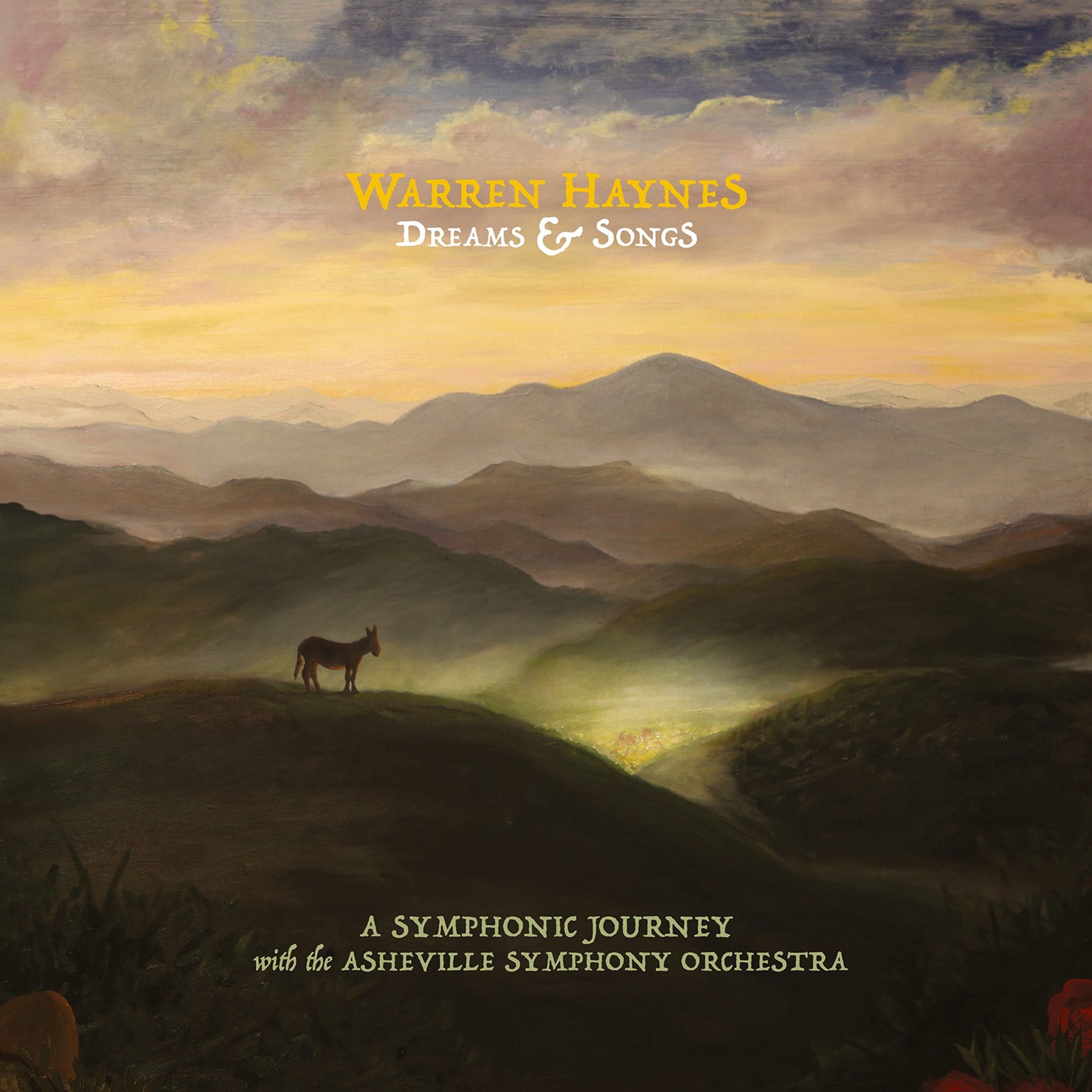 CD Warren Haynes - DREAMS & SONGS