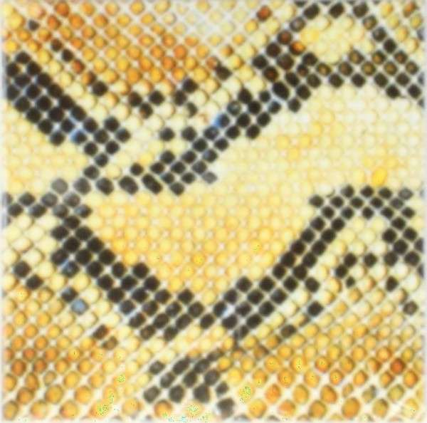 CD The Amazing Snakeheads - AMPHETAMINE BALLADS