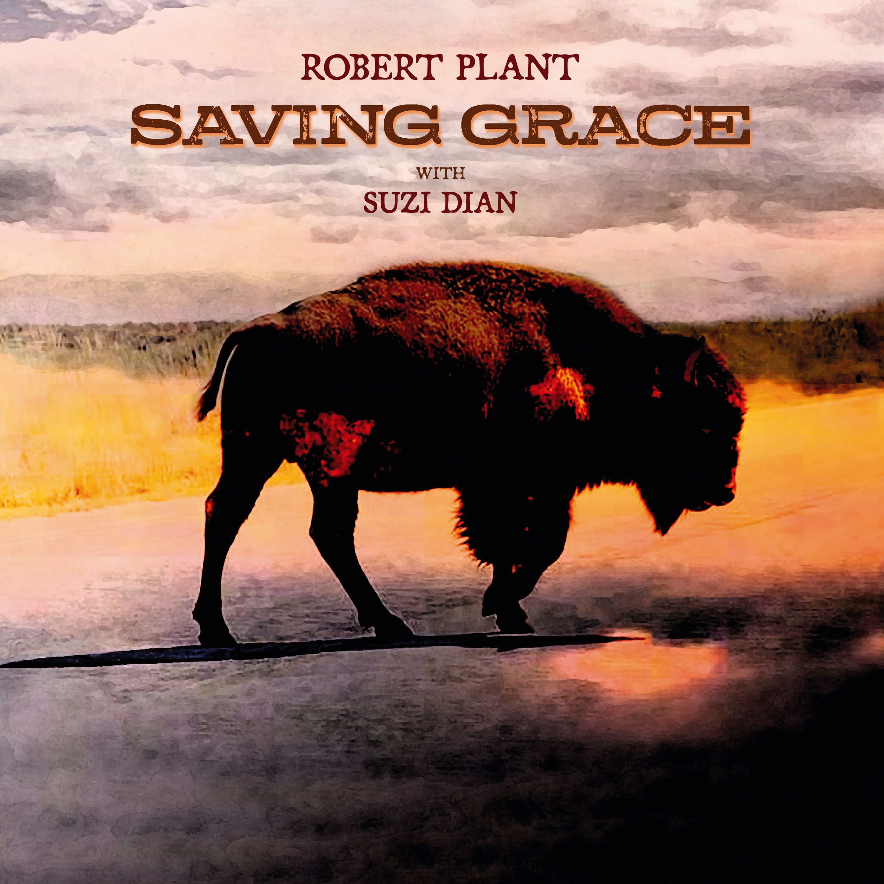 CD Robert Plant - SAVING GRACE