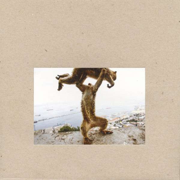 CD Shellac - SHELLAC - DUDE INCREDIBLE