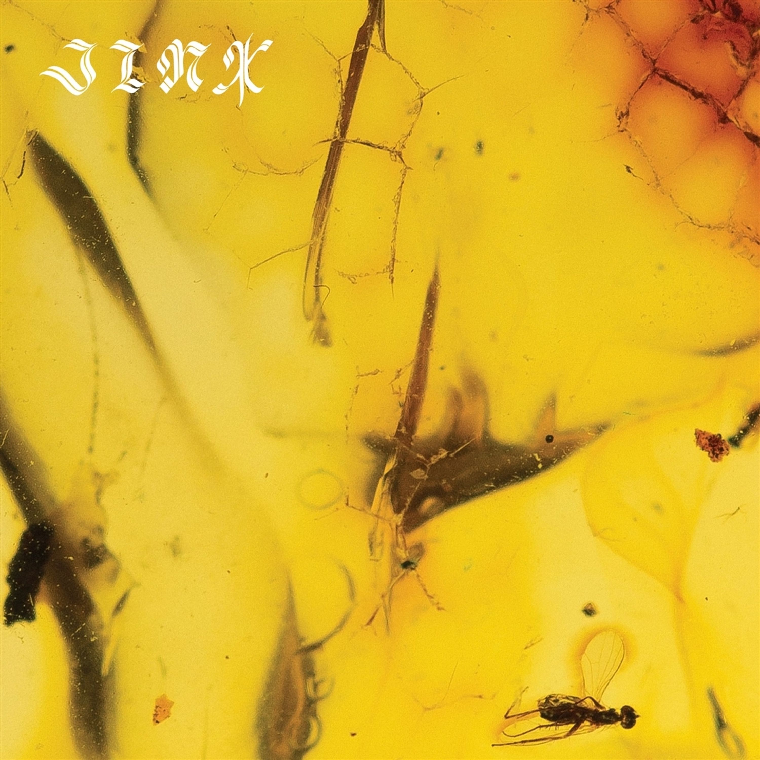 Vinyl Crumb - JINX