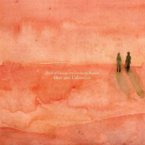 Vinyl Birds of Passage & Leonardo Rosado - DEAR AND UNFAMILIAR