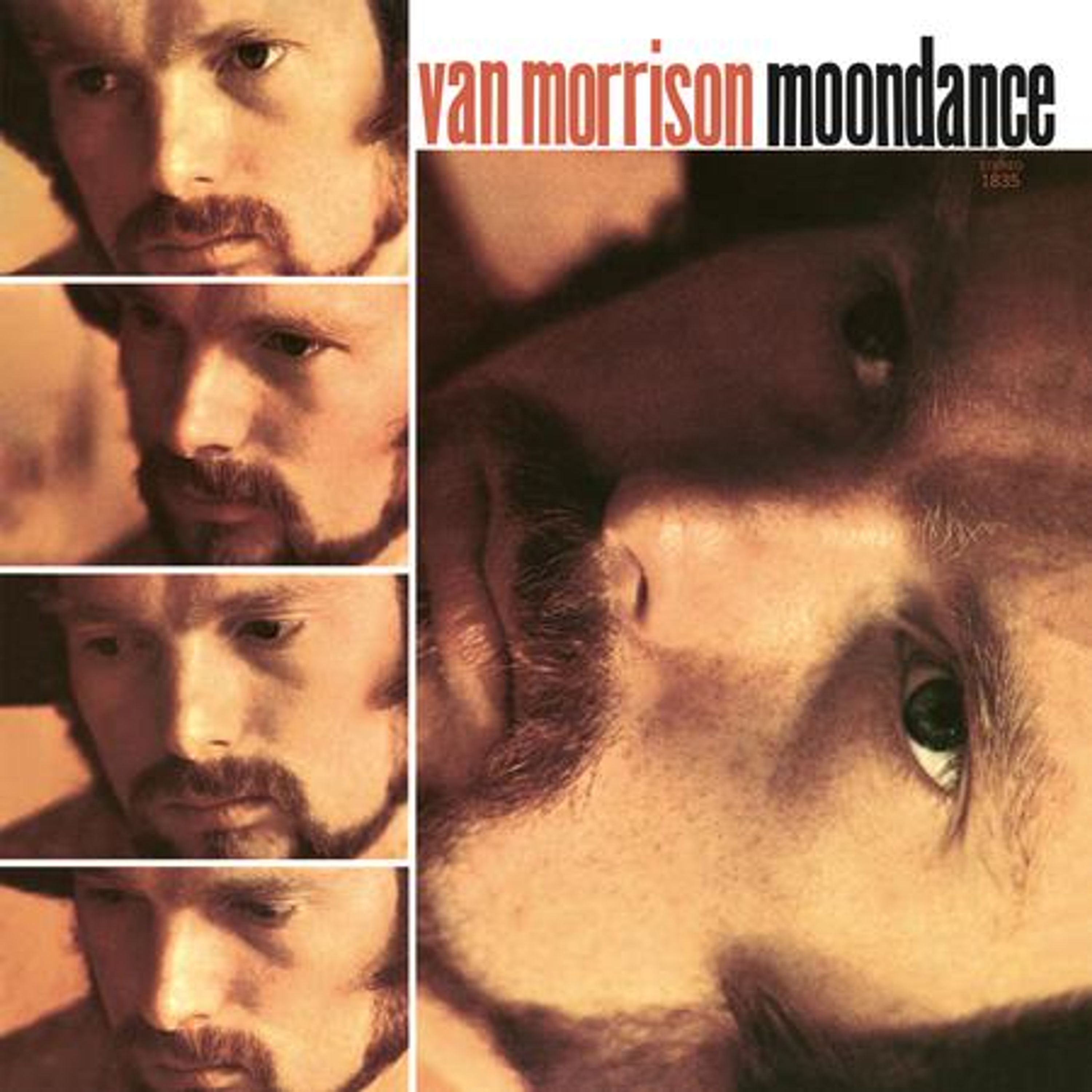 Vinyl Van Morrison - MOONDANCE