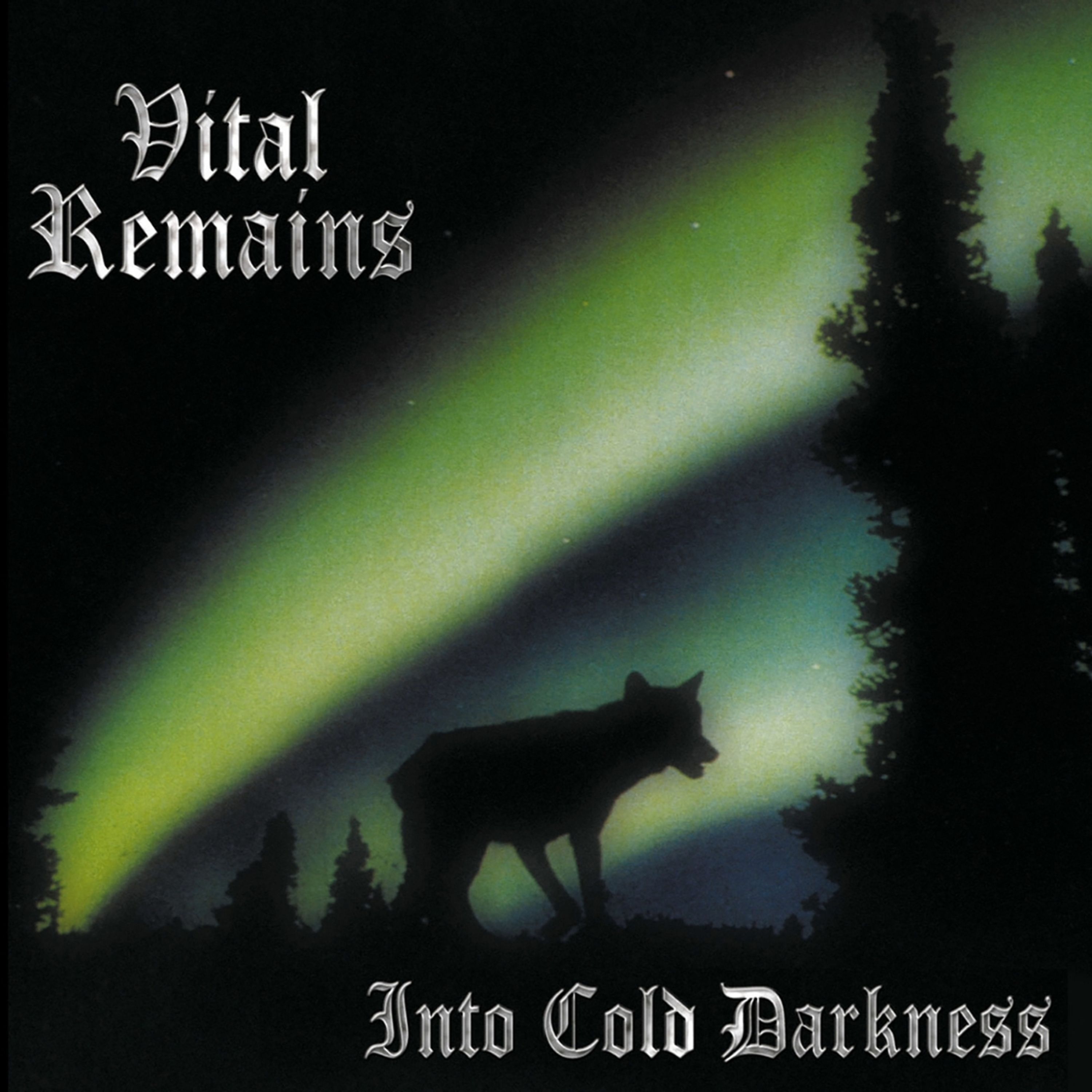 CD Vital Remains - Into Cold Darkness