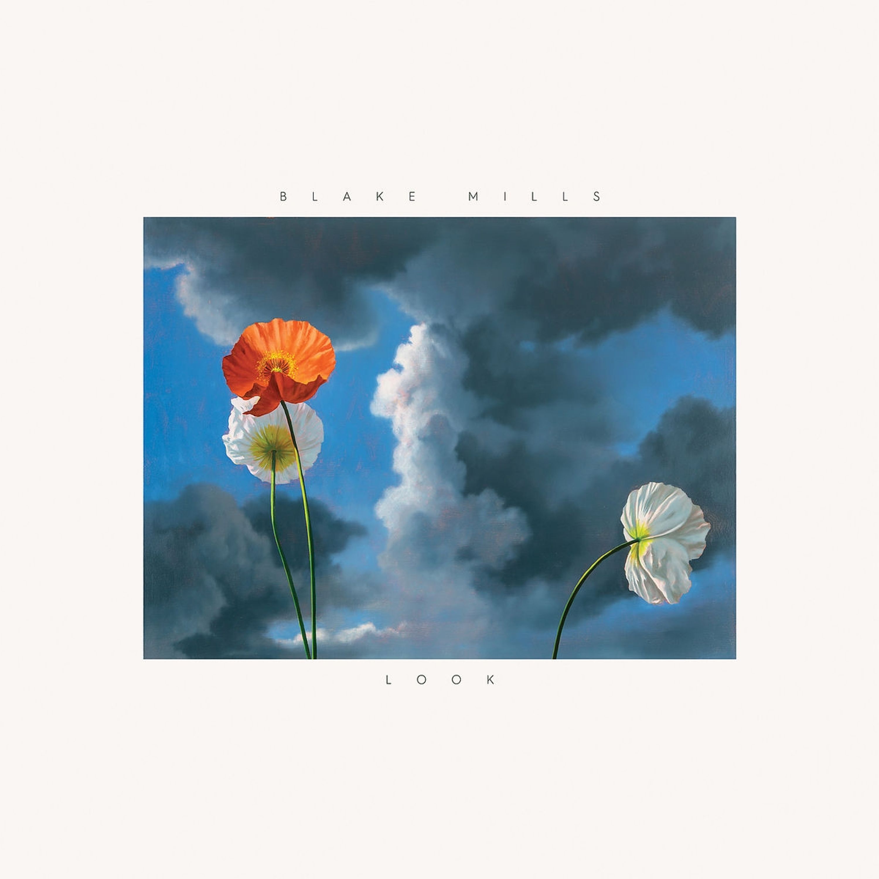 Vinyl BLAKE MILLS - LOOK