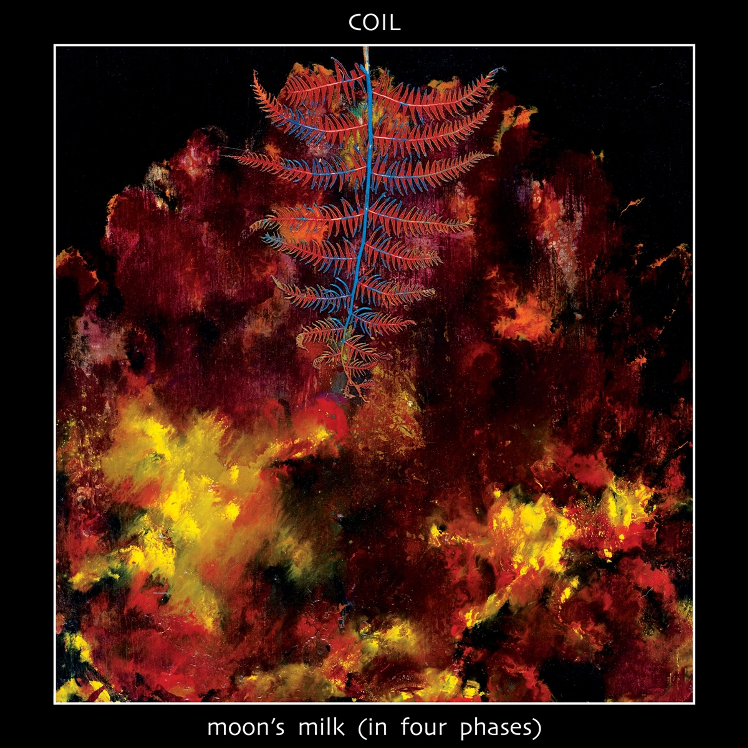 CD Coil - MOON'S MILK