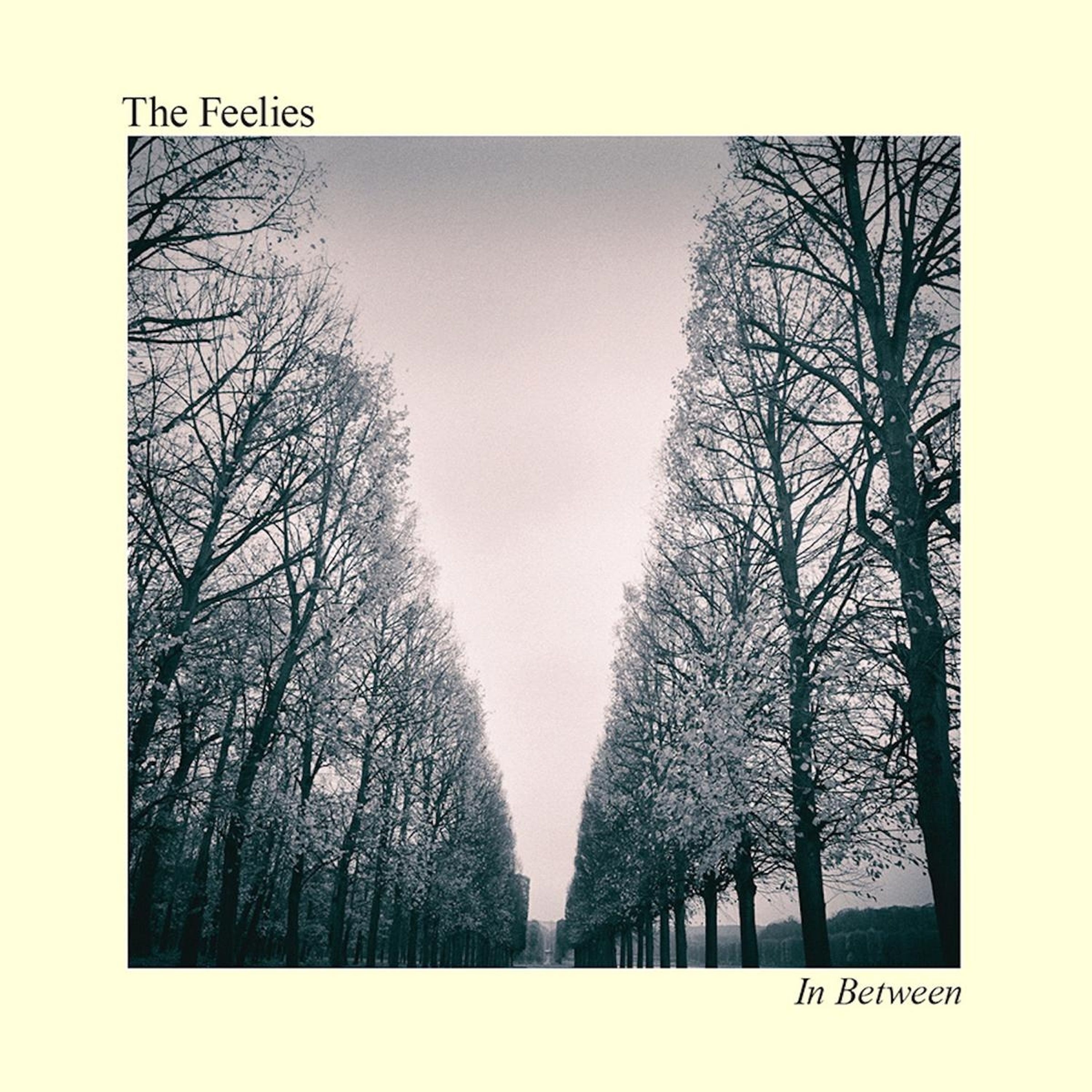 Vinyl The Feelies - IN BETWEEN