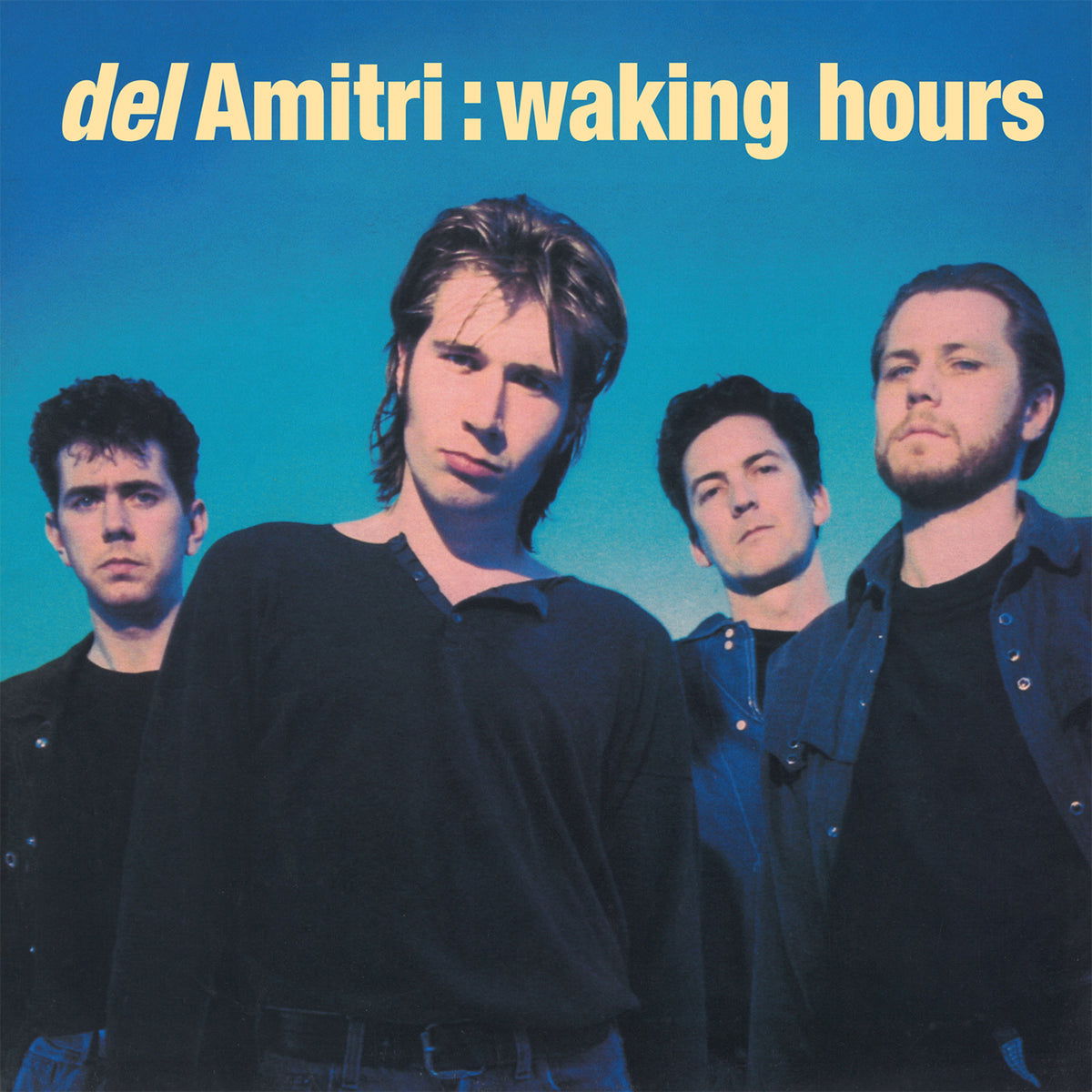 Vinyl Del Amitri - WAKING HOURS