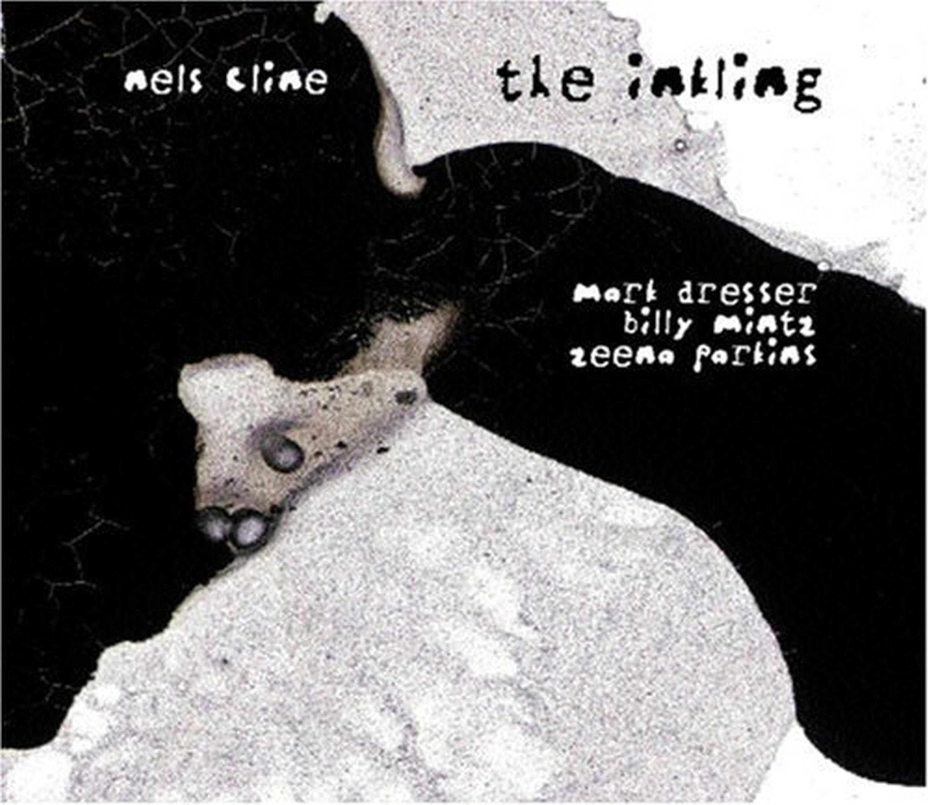 CD Nels Cline - INKLING