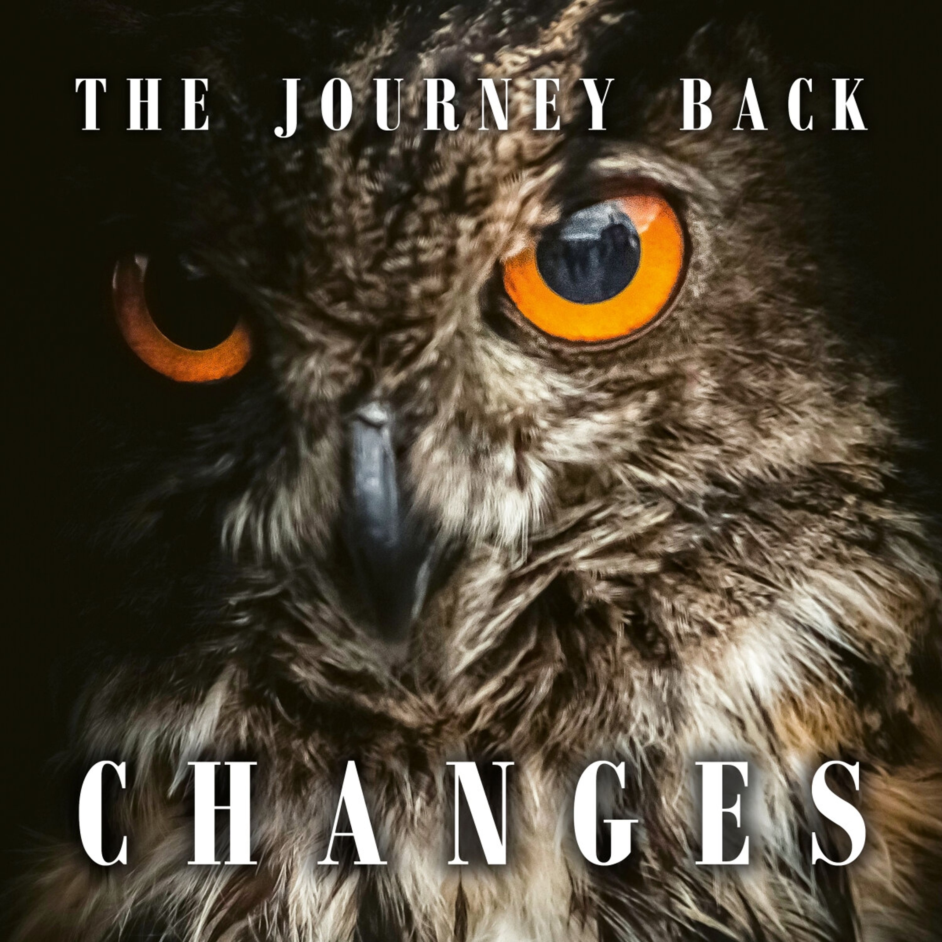 CD The Journey Back - CHANGES