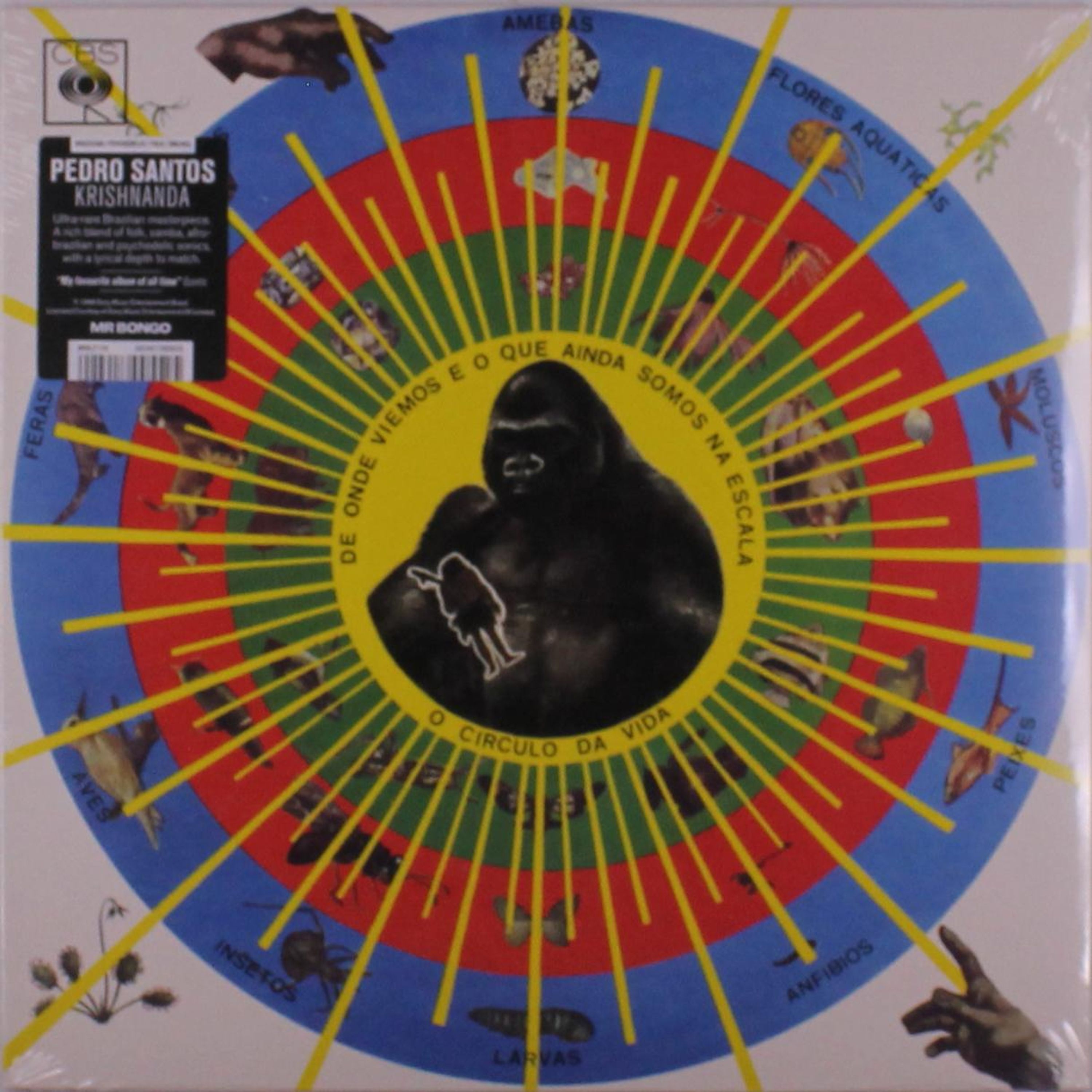 Vinyl Pedro Santos - KRISHNANDA