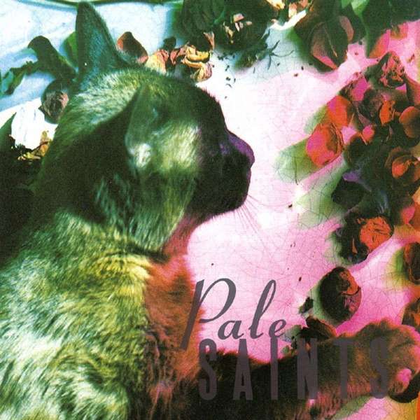 Vinyl Pale Saints - COMFORTS OF MADNESS