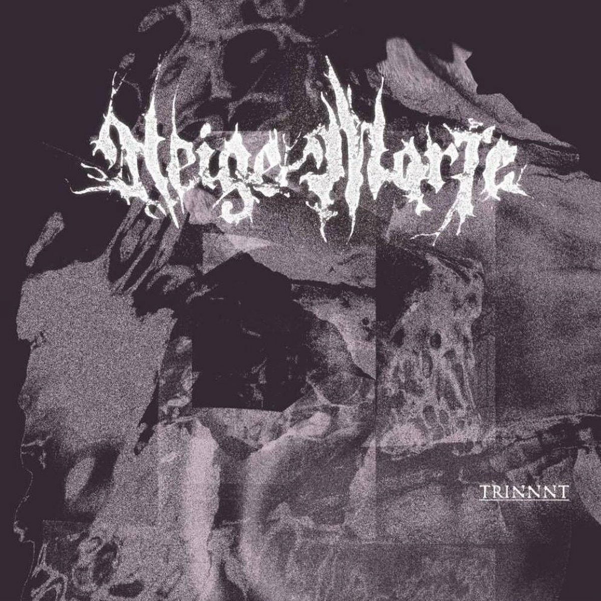 CD Neige Morte - TRINNNT
